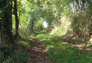 sentier